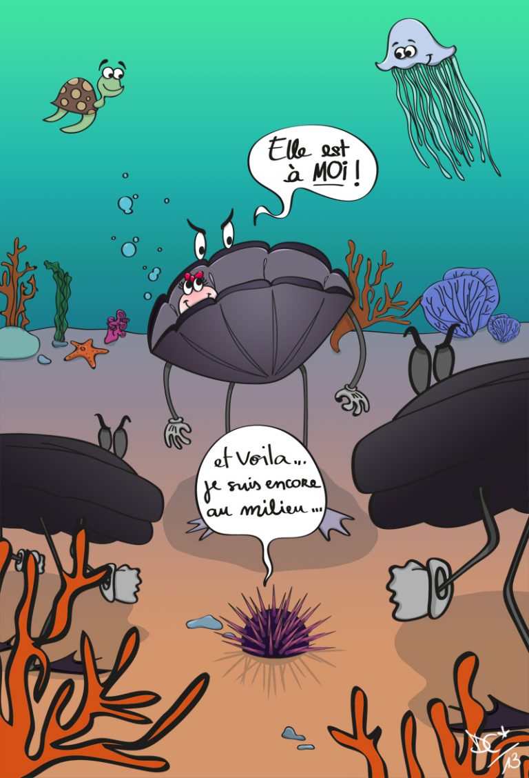 Les Aventures D une N hu tre Et De Sa Perle Chapo Blog Illustr De les-aventures-d-une-n-hu-tre-et-de-sa-perle-chapo-blog-illustr-de